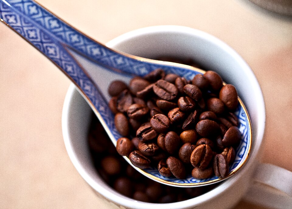 Roasted coffee the variety of coffee arabica
