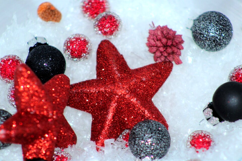 Poinsettia advent decoration