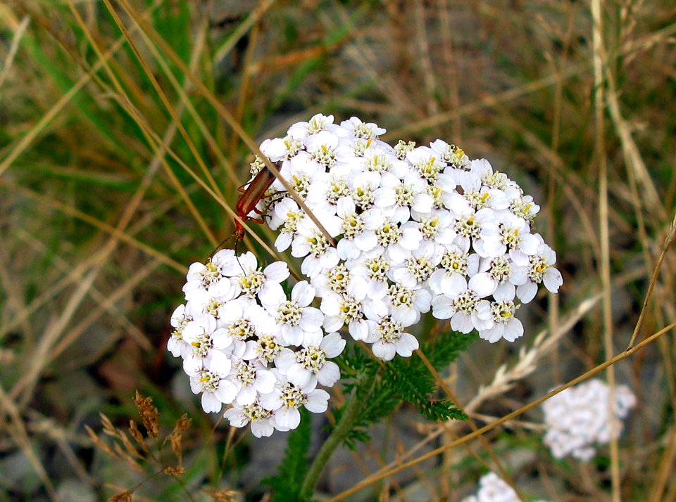 2007 08 10 015