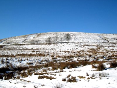 2009 02 10 012-1