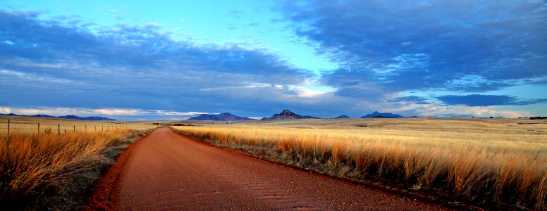 08p - SAN RAFAEL VALLEY GRASSLANDS, SE of Patagonia, santa cruz co, az (2-17-2017) -07