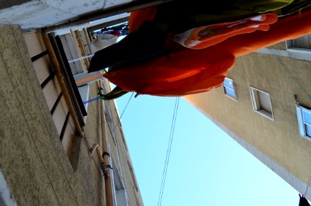 DSC 0008