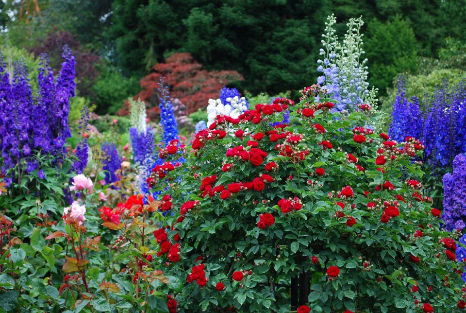 Nature gardening tourism