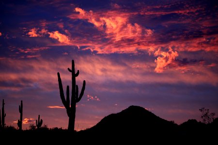 DESERT SUNSET (1-9-2017) casa grande, pinal co, az -07