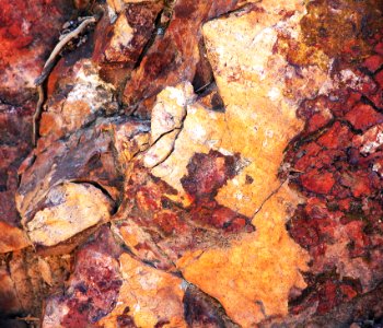 UPPER HUMBOLDT CYN, Patagonia Mts, scc -014 (8-3-12) rock detail around old mine -05