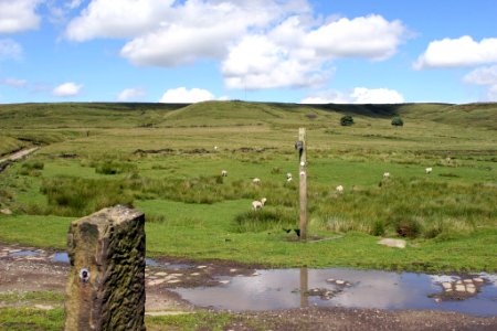 2007 06 27 022-1