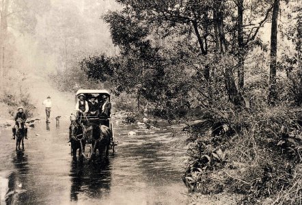 Crawford and Co. coach crossing the Snowy Creek, circa 1900 (Explore #128)