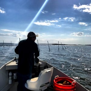 clam boat tour