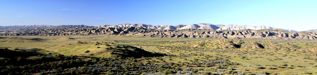11 - 009a - QUAIL SPRINGS CUTOFF ROAD, carrizo plain national monument, san luis obispo co, ca -04