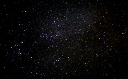 Cygnus photo