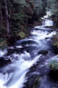 A Mountain Creek in Washington photo