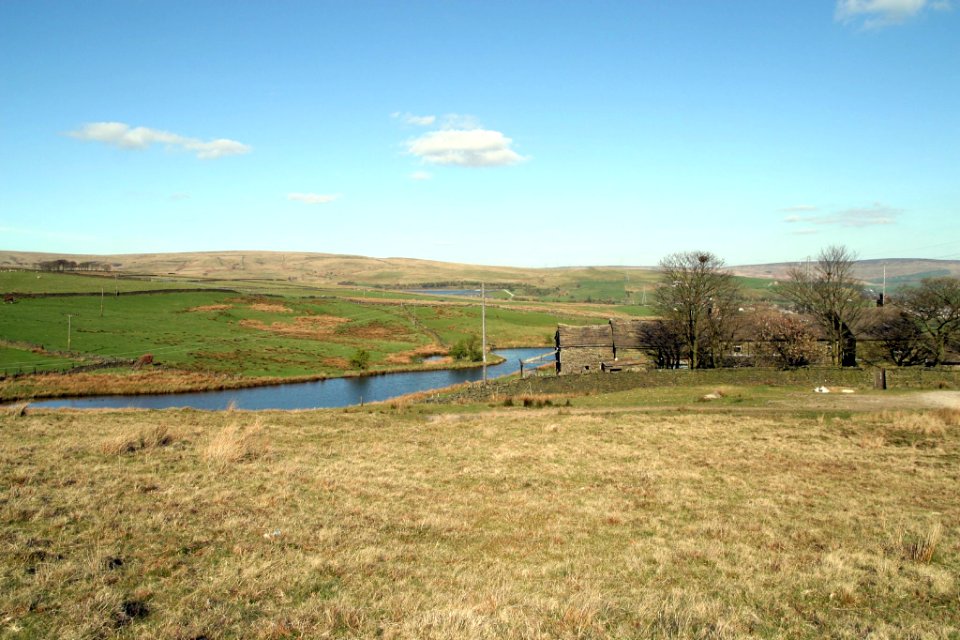 IMG 2390a-1