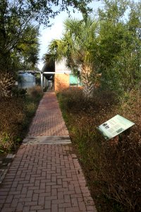 BENTSEN-RIO GRANDE STATE PARK - Visitor's Center
