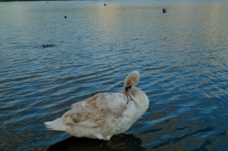hydepark2