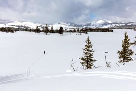 A skier breaks trail into an open meadow along the Sheepeater Ski Trail photo