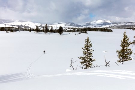 A skier breaks trail into an open meadow along the Sheepeater Ski Trail