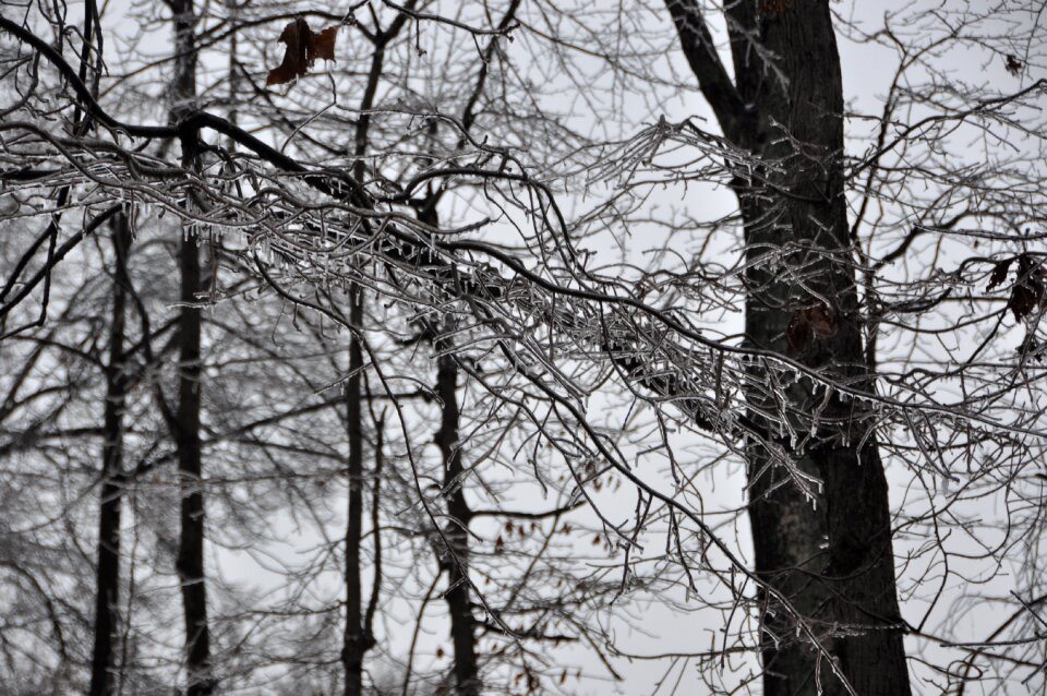 Ice background icy frozen