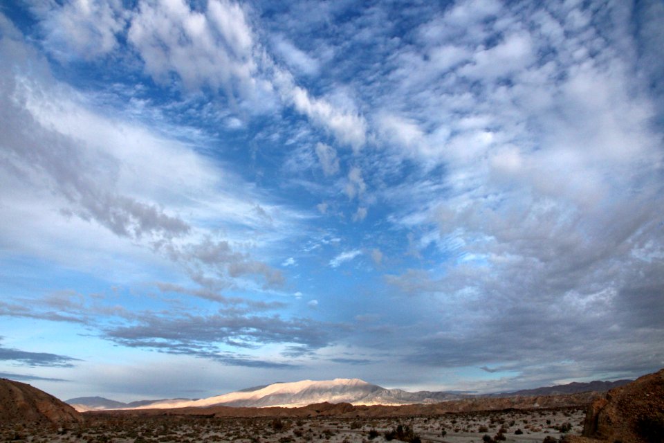 VALLACITO VALLEY CAMPSITE (1-6-2017) anza-borrego state park, san diego co, ca -3