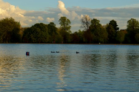 hydepark7