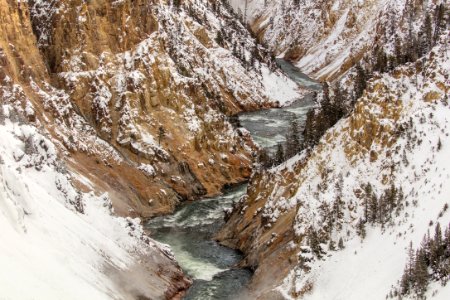 Yellowstone River viewed from Brink of the Lower Falls