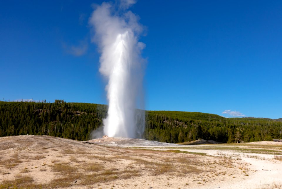 Old Faithful eruption on a bluebird evening