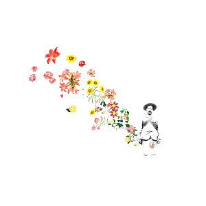 Al fin y al cabo somos lo que hacemos para cambiar lo que somos. Galeano. #collage #collagecollectiveco #contemporarycollage #galeano #lasvenasabiertasdeaméricalatina #panchovilla #mexico #c expo #primavera #flowers