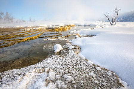 Hoar frost & hot springs, Mammoth Hot Springs photo