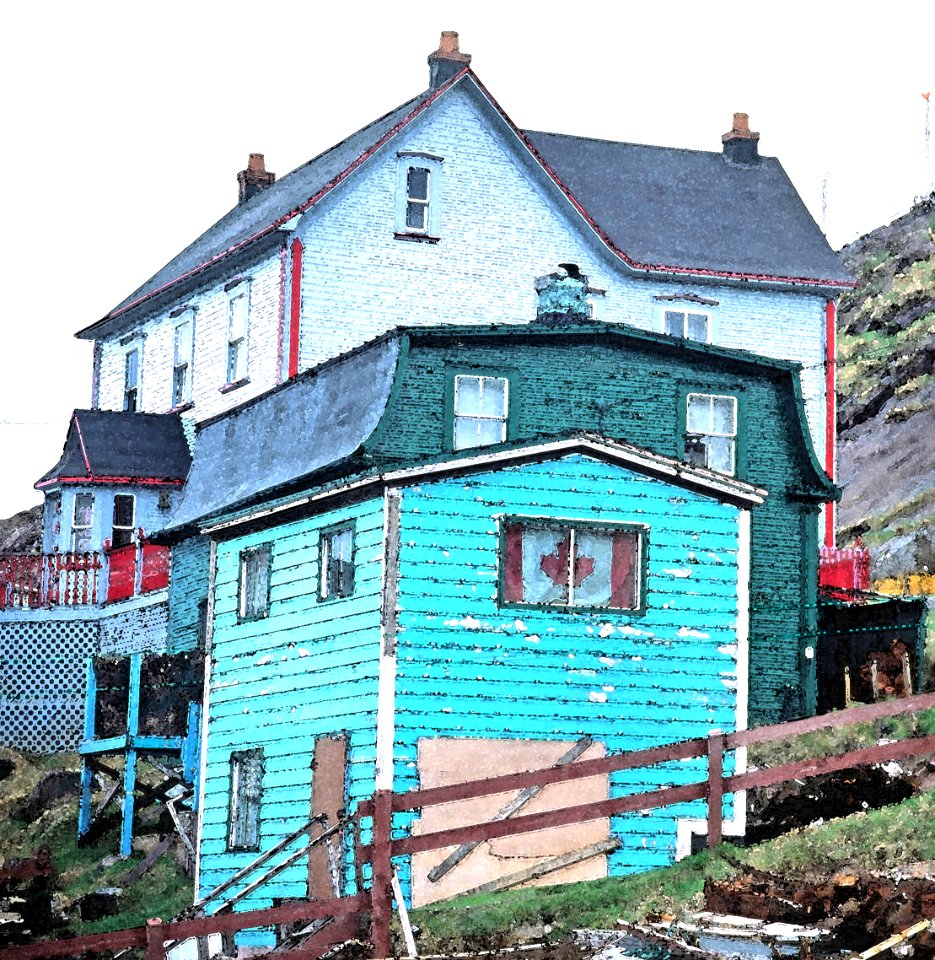 WATERCOLOR - NEWFOUNDLAND   (4)