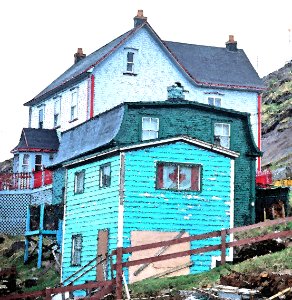 WATERCOLOR - NEWFOUNDLAND   (4)