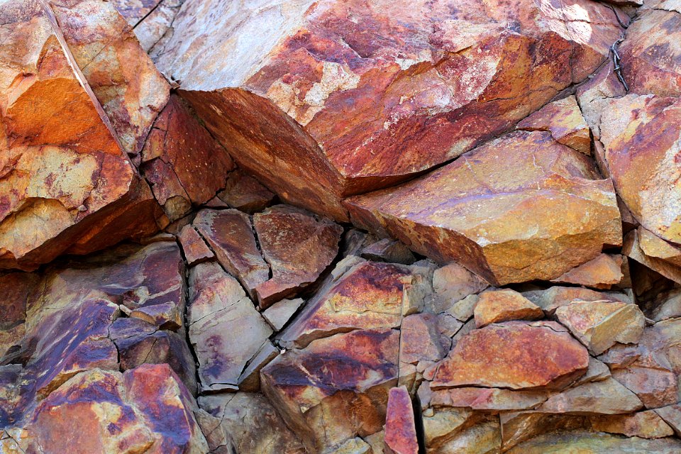 HUMBOLDT CANYON, upper canyon area, Patagonia Hills, scc, az (9-4-11) -06