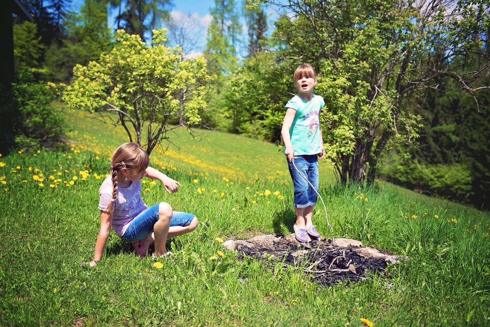 Nature out meadow