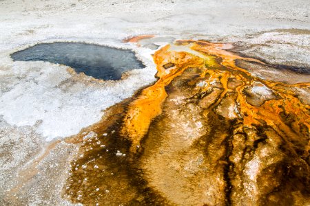 Colorful bacterial mats at Ear Spring
