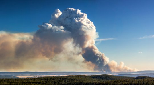 Spruce Fire from Dunraven Pass