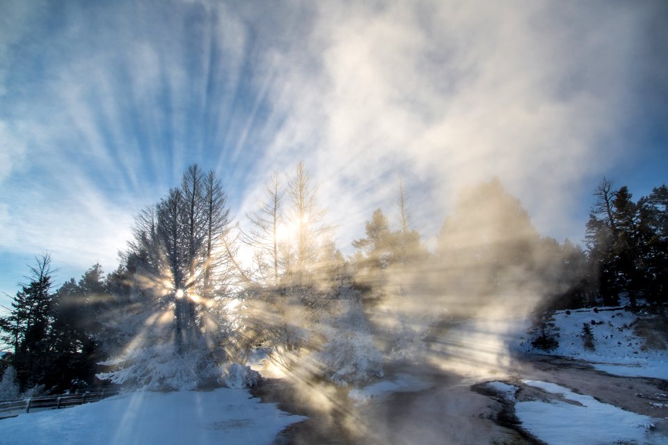 Sun rays shining through trees and steam at Mammoth