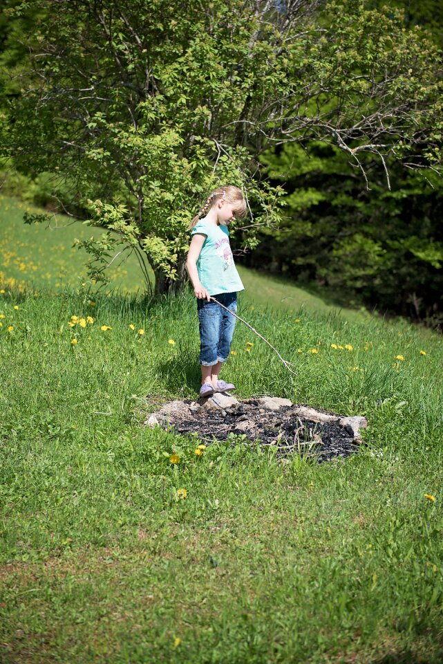 Fireplace nature meadow