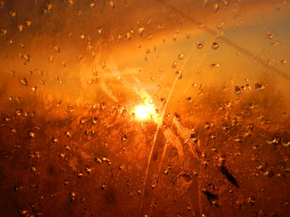 Sunset drops evening