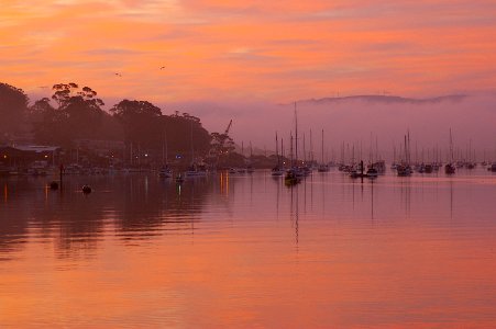 EARLY MORNING AT MORRO BAY HARBOR -050 photo