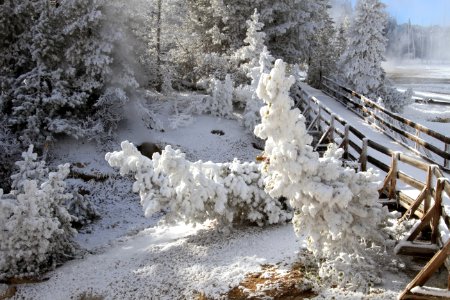 Boardwalk through Porcelain Basin photo