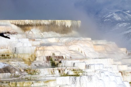 Canary Spring at Mammoth Hot Springs