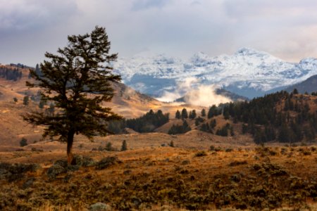 Fall morning views of Cutoff Mountain from Lamar Valley photo