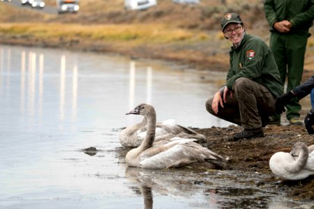 Lauren Walker, Wildlife Biologist with the Yellowstone Bird Program