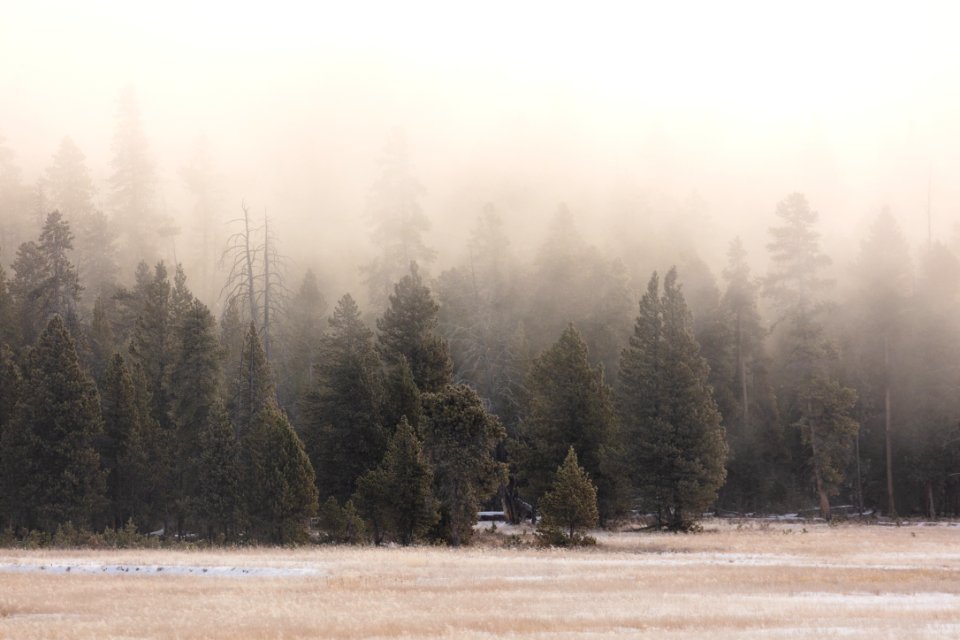 Morning fog in Lower Geyser Basin