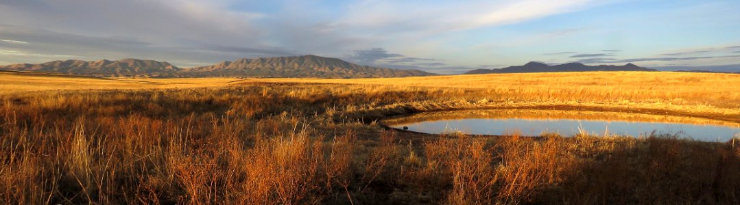 08vb - SAN RAFAEL VALLEY GRASSLANDS, SE of Patagonia, scc, az (2-3-2018) early morning at duquesne tank -05
