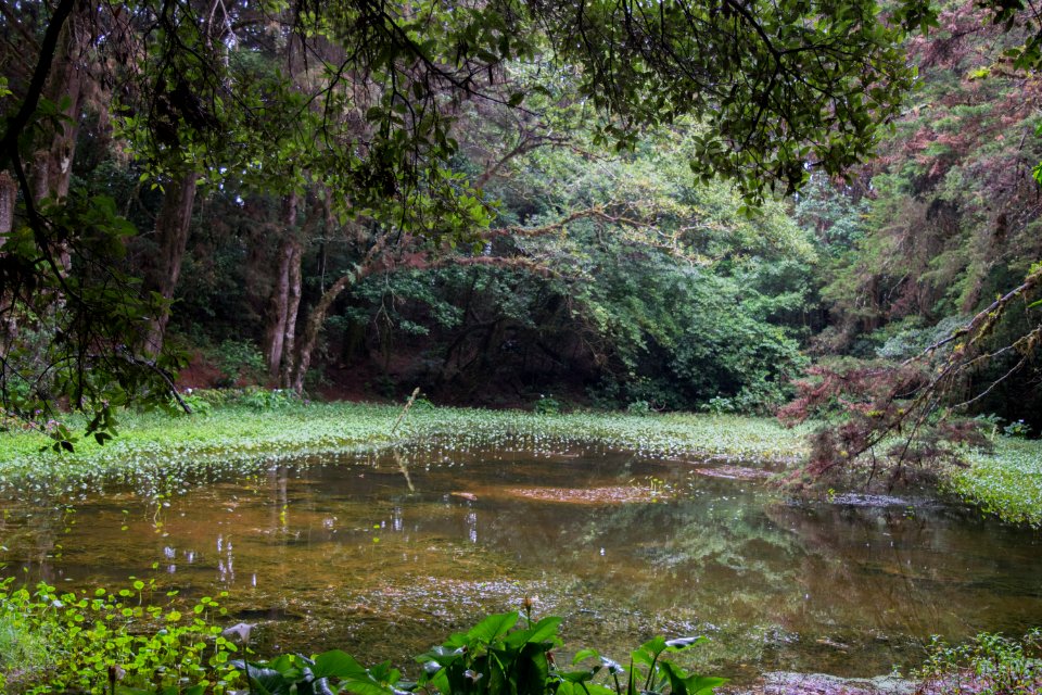 Laguna MonteDeLaCruz