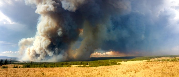 Maple Fire, August 15, 2016