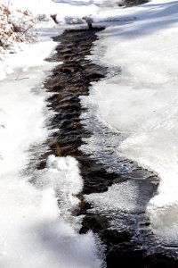 Ice along Lupine Creek photo