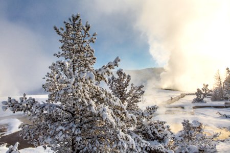 Exploring Mammoth Hot Springs at sunrise photo