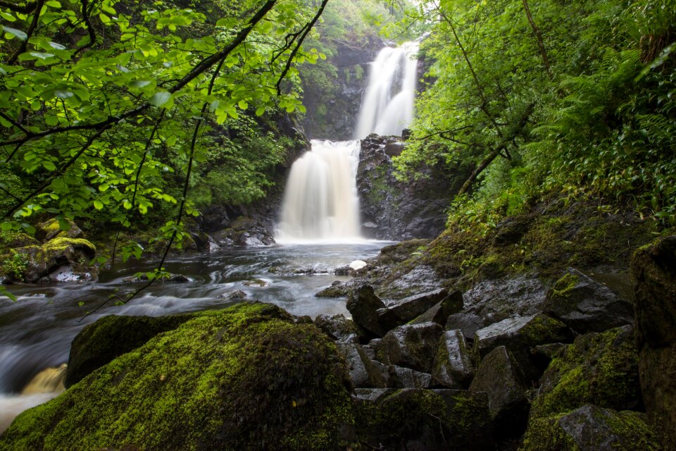Scotland nature idyllic