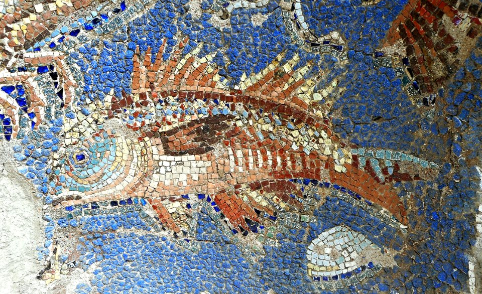 Fish (Detail) - Nymphaeum with mosaics (1st century AD) from Massa Lubrense (Pipiano) / Sorrento stretch of coast - Exhibition "Myth and Nature" at Archaeological Museum of Naples, until September 30, 2016