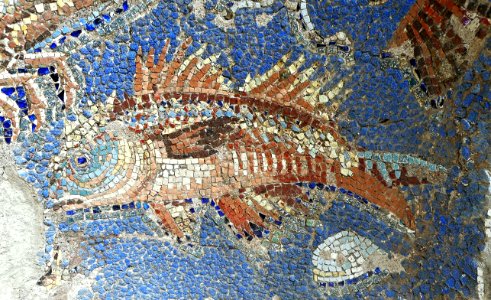Fish (Detail) - Nymphaeum with mosaics (1st century AD) from Massa Lubrense (Pipiano) / Sorrento stretch of coast - Exhibition "Myth and Nature" at Archaeological Museum of Naples, until September 30, 2016